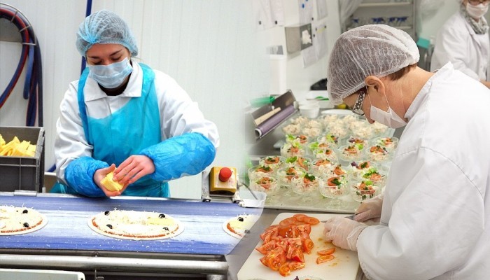 Hygiène alimentaire à destination de la restauration commerciale - HACCP