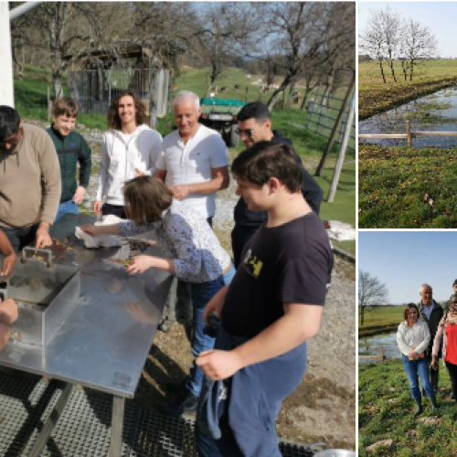 Apprendre la cuisine au bord d’un étang !