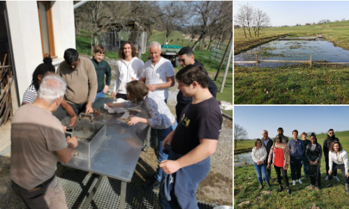 Apprendre la cuisine au bord d’un étang !